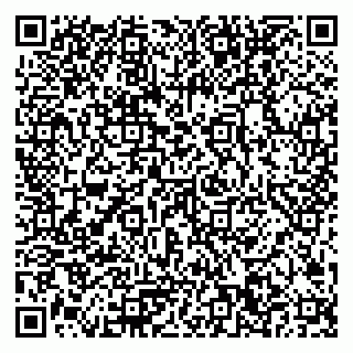 vCard 79050600181