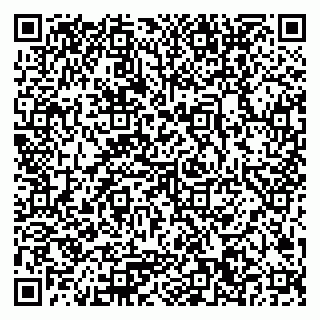 vCard 79050600381
