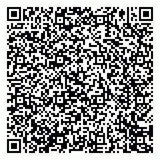 vCard 79050800138