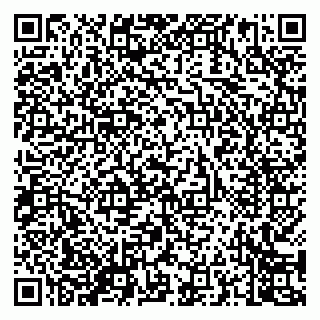 vCard 79050800300