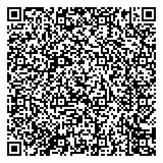vCard 79050800310