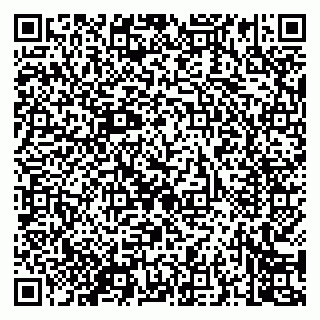 vCard 79050800313
