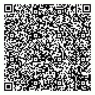 vCard 79050800319