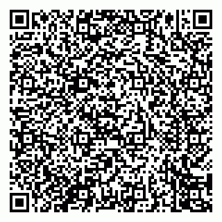 vCard 79050800331