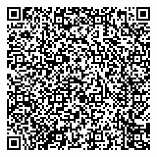 vCard 79050800380
