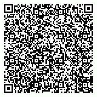 vCard 79050800381