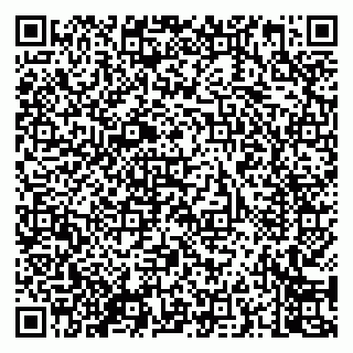 vCard 79050800384