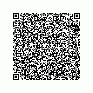vCard 79050940235