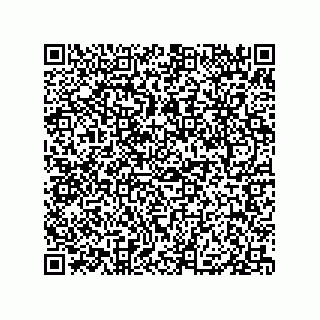 vCard 79050940321
