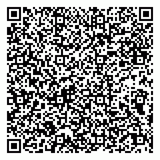 vCard 79051000173
