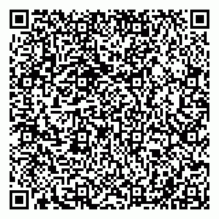 vCard 79051000311
