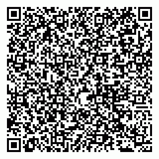 vCard 79051000318