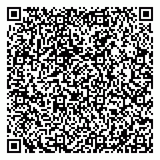 vCard 79051000383