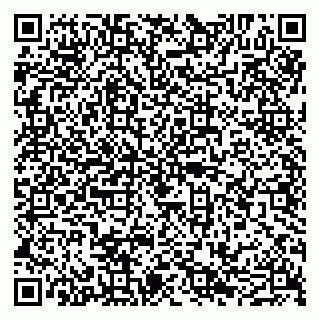 vCard 79051000410