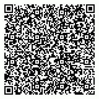 vCard 79051000420