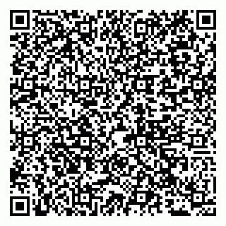 vCard 79051000515