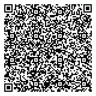 vCard 79051000518