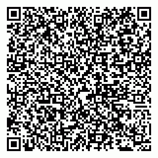vCard 79051000521