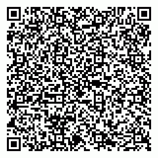 vCard 79051000729