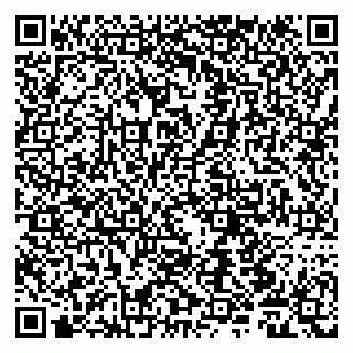 vCard 79051100000