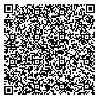 vCard 79051100294