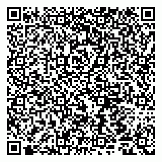 vCard 79051100331