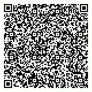 vCard 79051500029