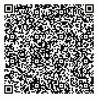 vCard 79051500031