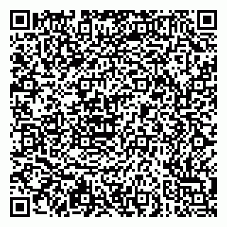 vCard 79051500032