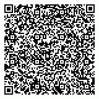 vCard 79051500040