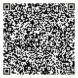 vCard 79051500041