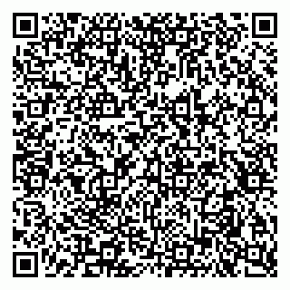 vCard 79051500054