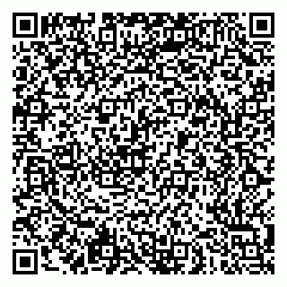 vCard 79051500081