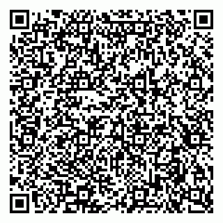vCard 79051500091