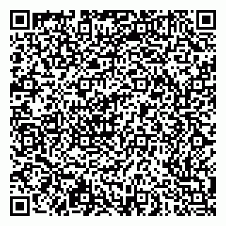vCard 79051500100