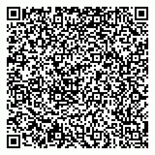 vCard 79051500103