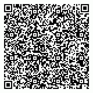 vCard 79051500130