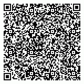 vCard 79051500131