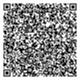 vCard 79051500133