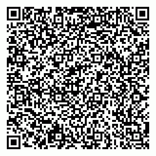 vCard 79051500161