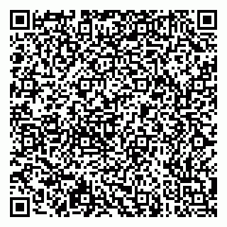 vCard 79051500173