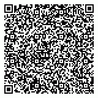 vCard 79051500180