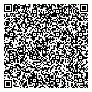 vCard 79051500199