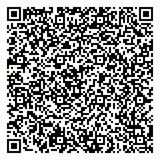 vCard 79051500200