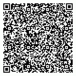 vCard 79051500281