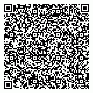 vCard 79051500289
