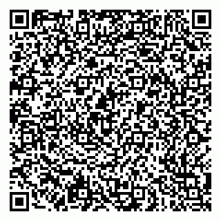 vCard 79051500290