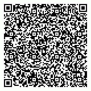 vCard 79051500291