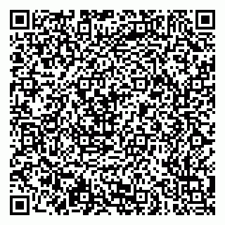vCard 79051500293