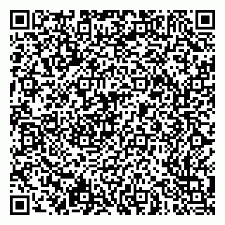 vCard 79051500294